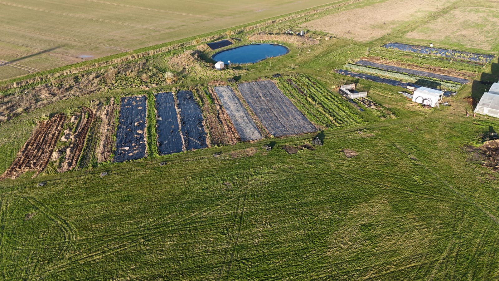 Vue aérienne des parcelles de maraîchage avec bassin