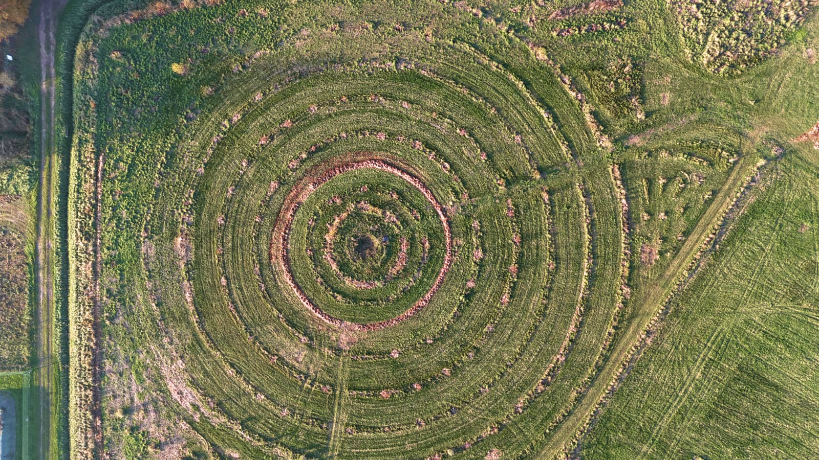 Vue aérienne du verger circulaire en cercles concentriques