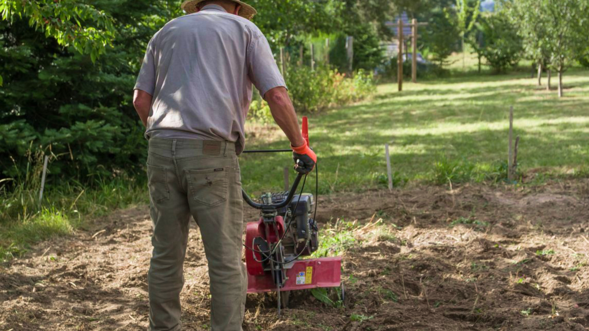 Jardinier au motoculteur dans un jardin partagé