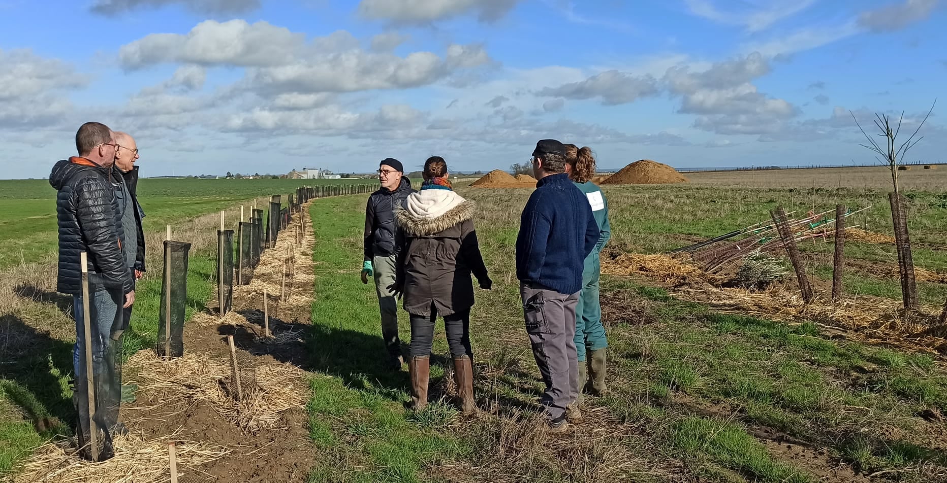 Chantier de plantation sous le soleil