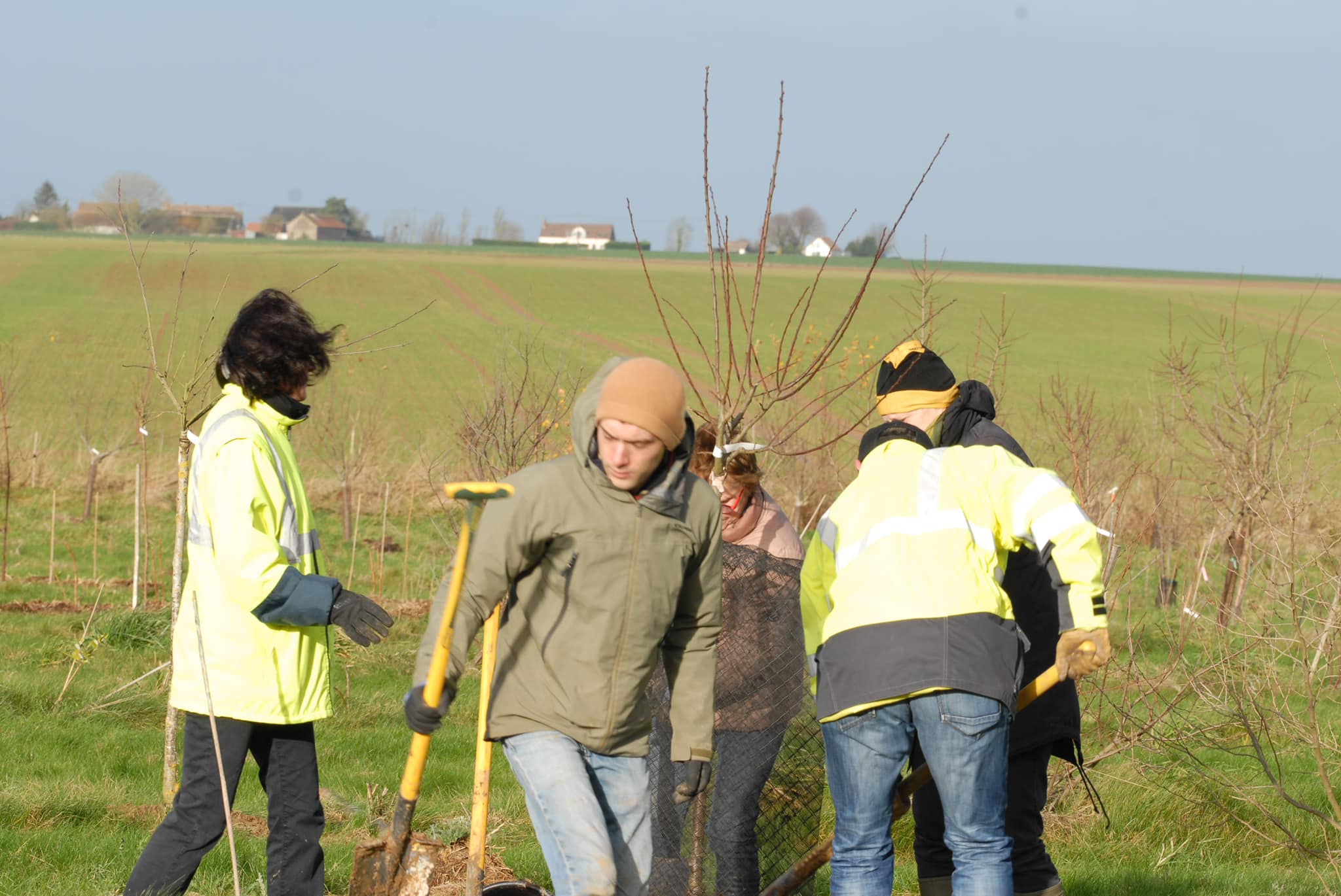Chantier participatif